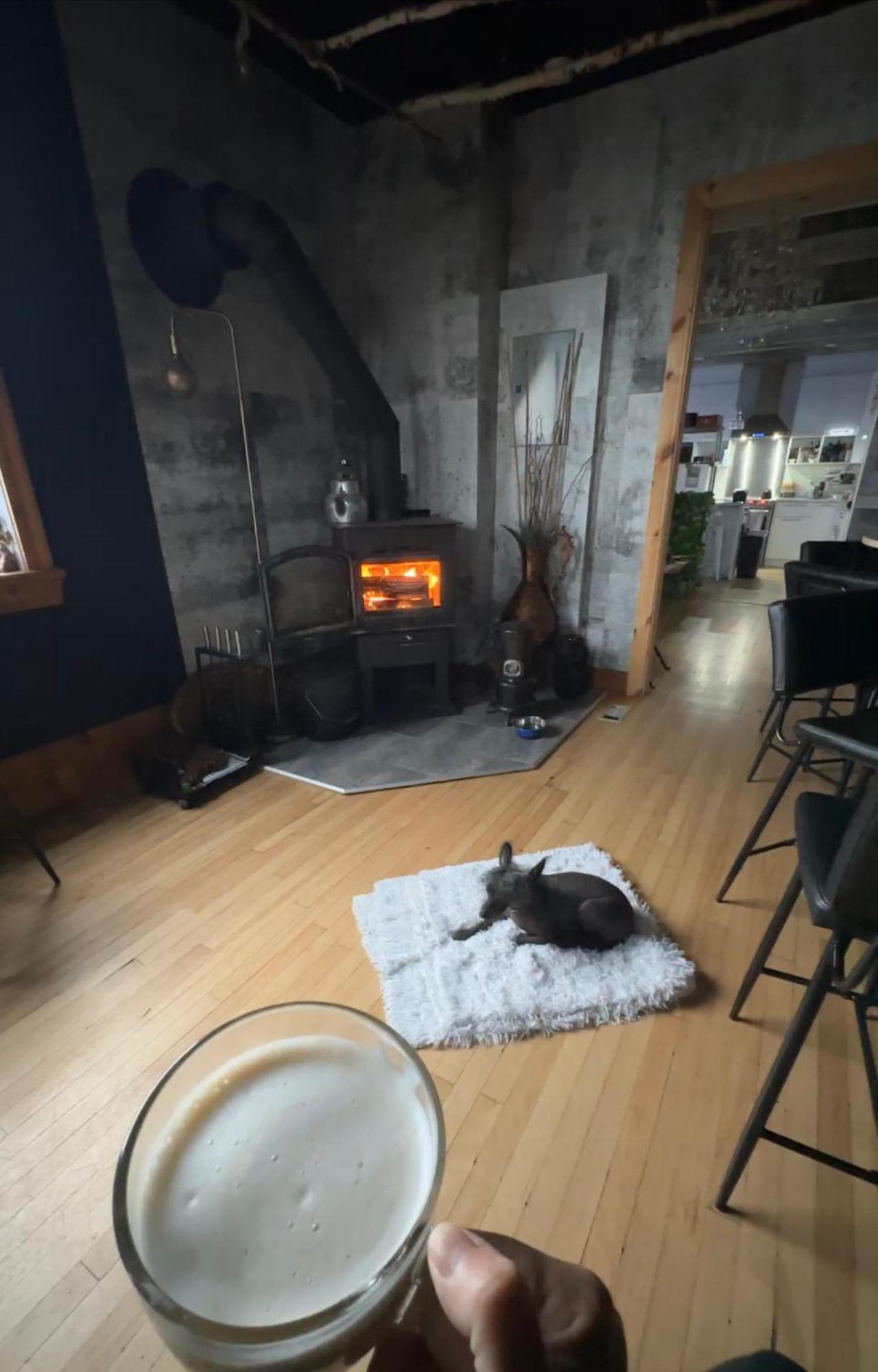 Auberge Et Bistro Namaste Lachute Kültér fotó